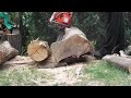 husqvarna 450 e series chainsaw