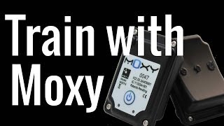 Why You Should Train with Moxy