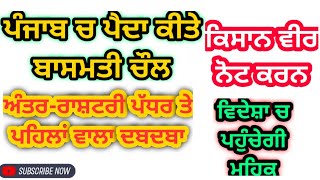 ਚੰਗੇ ਸੰਕੇਤ, ਪੰਜਾਬ ਦਾ ਬਾਸਮਤੀ ਦੁਨੀਆਂ ਭਰ ਚ ਦੁਬਾਰਾ ਫਿਰ ਬਣੇਗਾ ਨੰ 1 | Punjab basmati no 1 in world