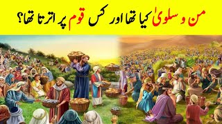 What Type of Food Mann-O-Salwa Was? | Complete History Of Food of Jannah | من و سلویٰ | INFO at ADIL