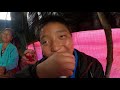 भेडाकाे दूधबाट बन्ने परिकार अर्गानिक छुर्पी भेडा काे दूध र भात 😋 meeragurung newvlog barpak gorkha