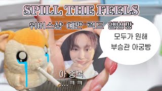 [캐럿로그] 거친 포카세상에 뛰어든 건 나니까..암오케..(feat.중복파티)ㅣ세븐틴 미니12집 SPILL THE FEELS 앨범깡