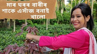 Beta আৰু মই মাৰ ঘৰত এনিশা থাকি আমি কি কি  বনাই খালো/vlog