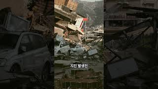 Dangerous Area : 위험을 미리 예견하는 동물들