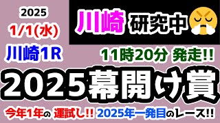 【川崎競馬研究中😏】2025年一発目のレース🎍  今年1年の運試し😉【2025.1.1 川崎1R 2025幕開け賞】