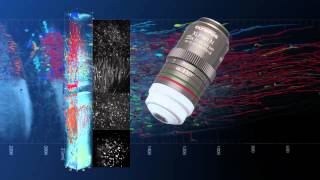 Olympus: Microscopy Optics