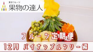 【果物の達人】 フルーツ定期便　～12月 パイナップルツリー編～