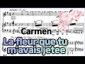 La fleur que tu m'avais jetee - [Carman] 'Bizet' Accompaniment 카르멘 꽃노래 반주