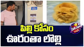 పిల్లి కోసం ఊరంతా లొల్లి | Cat Missing in Karimnagar | Patas News | 10TV