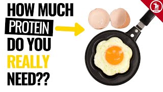 How Much Protein You REALLY Need → Daily Protein Intake