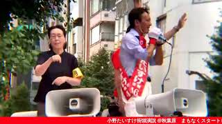 東京都知事候補 小野たいすけ街頭演説 @秋葉原【Live配信】