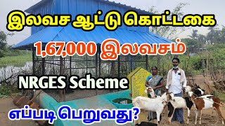 🐐அரசின் இலவச ஆட்டு கொட்டகை - Free Goat shed | எப்படி விண்ணப்பிப்பது? ||Goat Subsidy Scheme in 2024