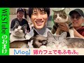 WEST. 【神ちゃんVlog企画🐱】猫カフェで“モフモフ”しよ？ 13/100
