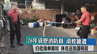 26年資歷消防員　清蛇籠遭白化雨傘節咬　休克送加護病房