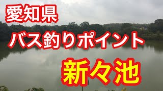 新々池  愛知県 東浦町 バス釣りポイント ブラックバス