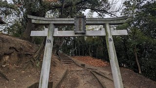 突然現れた謎の神社、百済王神社⛩️✨枚方市の駅の近くで神社を探していたら辿り着いた、不思議な神社です。御祭神は百済国王、朱色の鳥居のお社は稲の神紋があったのでお稲荷さまだと思われます。#神社巡り