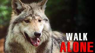 LONE WOLF - WALK ALONE - MOTIVATIONAL SPEECH 2022 - DAILY MOTIVATION HUB