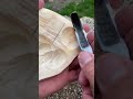 Green wood carving! #shorts #ASMR #asmrcarving #spooncarving #greenwoodworking