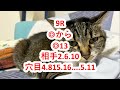 3月31日大井競馬【全レース予想】隅田川オープン2022