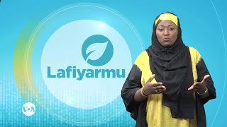 LAFIYARMU: Shin Menene Ra’ayinku Game Da Matsalar Miyagun Kwayoyi?