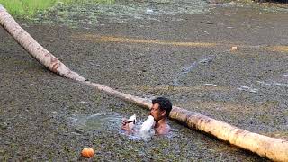 നമ്മുടെ കുളത്തിൽ വലയിട്ട് മീൻ പിടിക്കുന്നു 🐠🐠🐠🐠