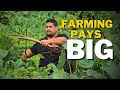 5 WAYS FARMING IMRPOVED OUR LIVELIHOOD | FARMING IN SAMOA 🇼🇸