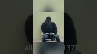 😂. میگه گلستان سعدی از کیه گفتم از حافظ اخراج کرده😂.       😂😂