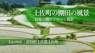 土佐郡土佐町の棚田の風景！山の斜面に広がる無数の棚田・棚畑をドローン撮影！