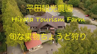 平田観光農園（広島県三次市）