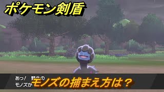 ポケモン剣盾　モノズの出現場所は？オススメの場所は？天気は？ポケモン図鑑コンプへの道！　最新版【ポケモンソード・シールド】