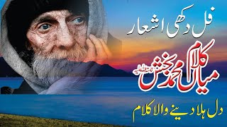 Kalam Mian Muhammad Bakhsh 2024 || Punjabi Sufi Kalam || Saif Ul Malook
