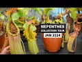 Nepenthes Collection Tour - January 2024