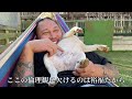 【僕のせい】引き渡した子犬が保健所で殺処分されていることが判明しました