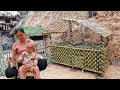 How to make a rabbit cage with bamboo | Harvest fruit and bring it to market to sell