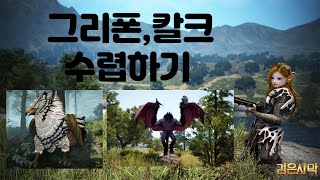 Black Desert(검은사막)-그리폰,칼크 수렵하기!!