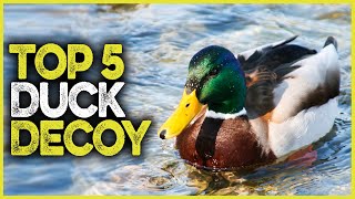 Best Duck Decoy 2023 | Top 5 New Motion Duck Decoys For Hunting