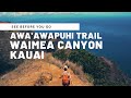 Hiking the Awa'awapuhi Trail in Waimea Canyon, Kauai | Top Hikes in Kauai