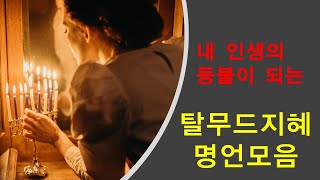 [탈무드 지혜 명언] 인생을 살아가면서 꼭 지켜야할 지혜의 샘물|레몬명언🍋