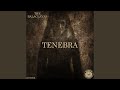Tenebra