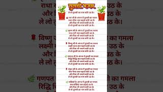 Tulsi Bhajan lyrics in Hindi  🌿💐 #tulsibhajan #tulsimatakebhajan #ekadashi #tulsi #bhajanlyrics