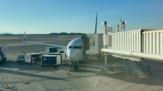 (Home to home) Alaska Airlines AS584 Seattle Tacoma (SEA) - San Francisco (SFO) 8/4/2024 B737-800