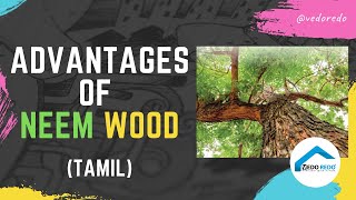 Advantages of Neem Wood (Tamil)