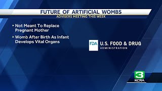 FDA looks into 'artifical womb' to help preemie babies survive after birth