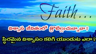 ‌‌ ‌ విశ్వాస జీవితంలో త్రొటిల్లుచున్నావా? స్థిరమైన విశ్వాసం కలిగి యుండుట ఎలా?