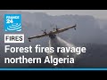 Deadly forest fires ravage northern Algeria • FRANCE 24 English