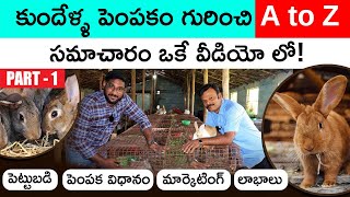 Rabbit Farming In Telugu - Complete Details About Rabbit Farming | Investment | Marketing | Breeds