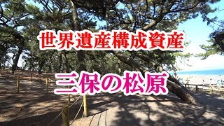 静岡観光スポット 世界遺産構成資産「三保の松原」を散策