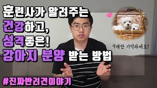 강아지 분양 받을때 건강하고 성격좋은 강아지 선택하는 방법~! #진짜반려견교육