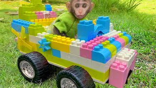 Baby monkey Bim Bim and puppy play with lego car and harvest watermelons in the garden