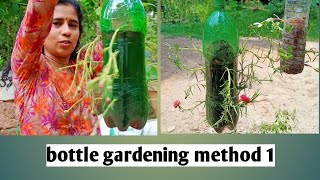 Bottle gardening method 1/ನೆಲಗುಲಾಬಿ ಗಿಡ ಪ್ಲಾಸ್ಟಿಕ್ ಬಾಟಲಿಯಲ್ಲಿ